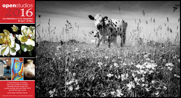 For further information please contact : Giles Penfound 07584350021 E: picturesonapage@hotmail.com